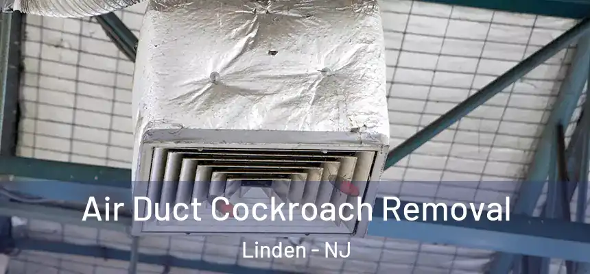  Air Duct Cockroach Removal Linden - NJ