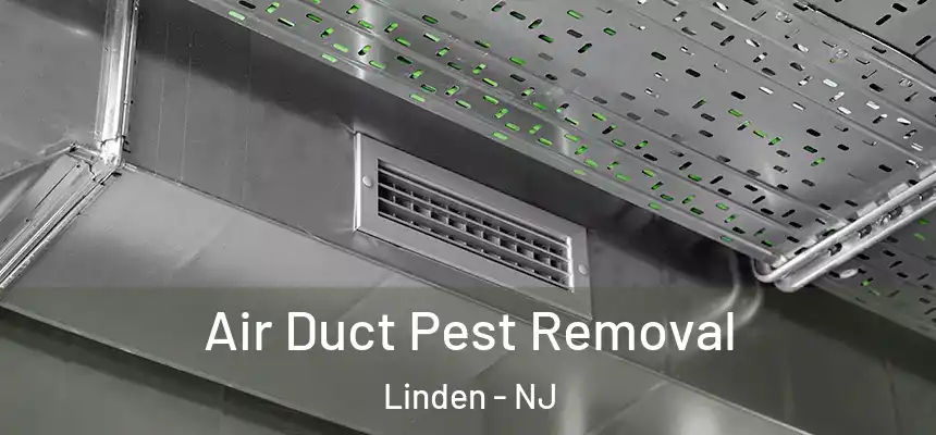  Air Duct Pest Removal Linden - NJ