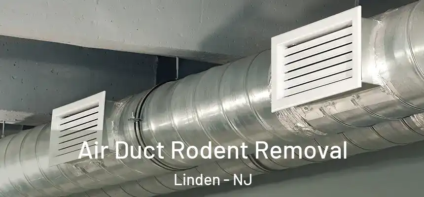 Air Duct Rodent Removal Linden - NJ