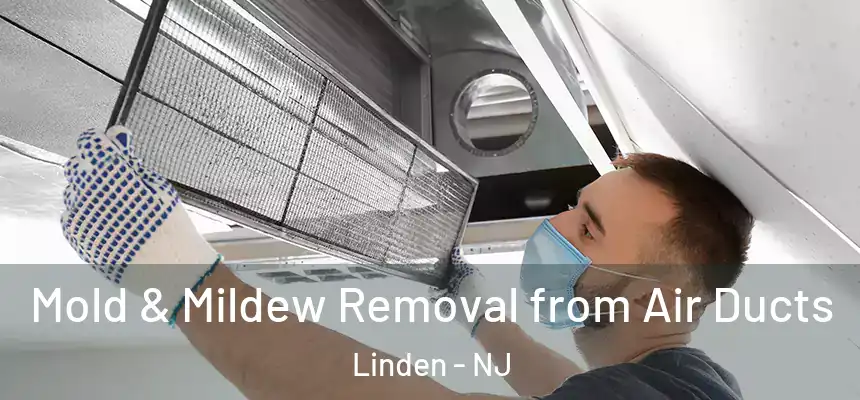 Mold & Mildew Removal from Air Ducts Linden - NJ