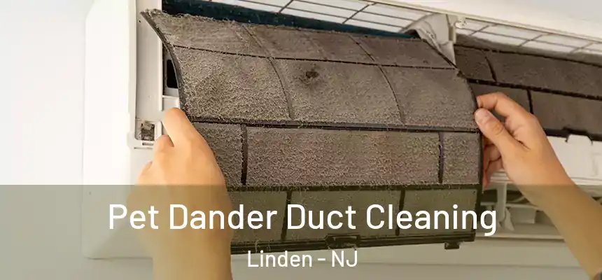  Pet Dander Duct Cleaning Linden - NJ