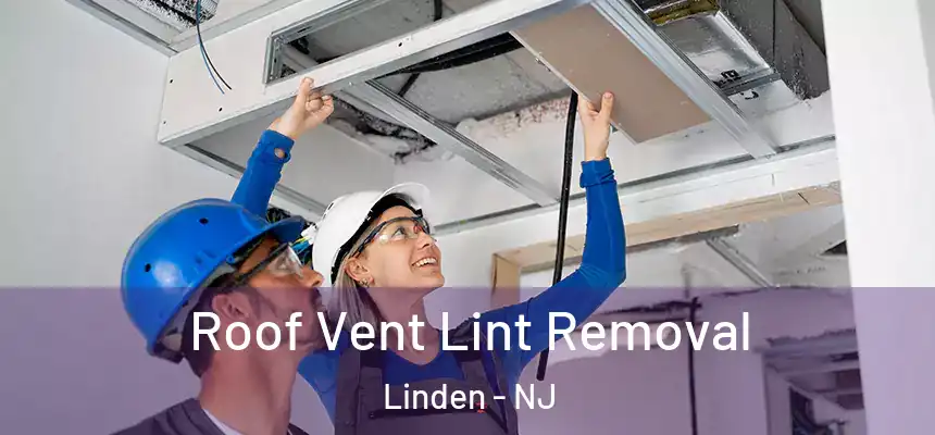  Roof Vent Lint Removal Linden - NJ