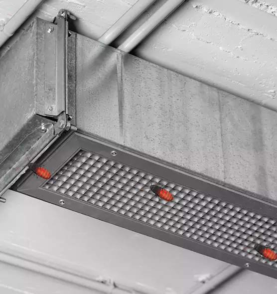 Affordable Insect Removal from Air Ducts in Linden, NJ