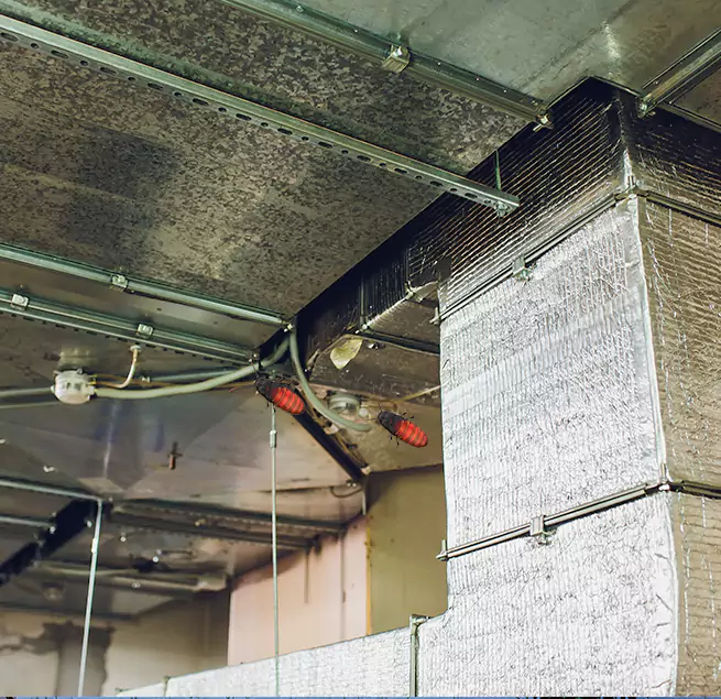 Why Homeowners & Businesses Trust Us Linden, NJ?